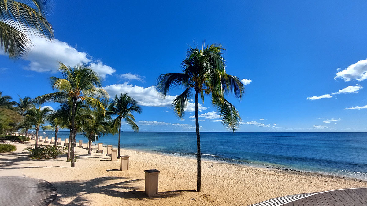Exposition Economique et Commerciale Chine-Afrique : L’île Maurice vante ses atouts